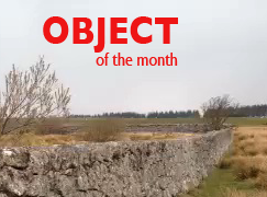 object of the month